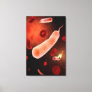 Search for cholera Cell