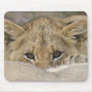 Search for one animal mouse mats Head and shoulders