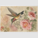 Search for hummingbird tissue paper Pink