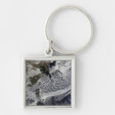 Search for simulator key rings Photography