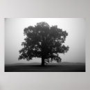 Search for amanda art Photography