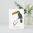 Search for animals design postcards Retro