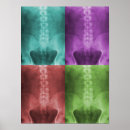 Search for radiology art Rad tech