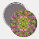 Search for phlox magnets Pink
