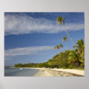 Search for plantation posters Wall