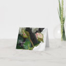 Search for expressions cards Roses