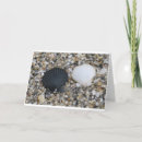 Search for sea shell cards Shells