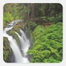 Search for lush foliage stickers Forest