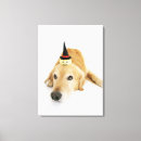 Search for retriever canvas prints Vertical