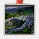Search for shenandoah national park christmas tree decorations Landscape