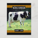 Search for dairy cow postcards Milk