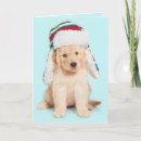 Search for cute golden retriever puppy christmas cards Winter