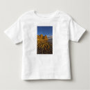Search for loreto tshirts Gulf of california