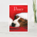 Search for beagle christmas cards Puppy