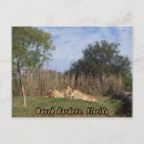 Search for cuddle postcards Cuddling