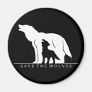 Search for black wolf magnets Black and white