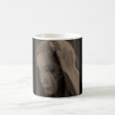 Search for beautiful lady mugs Portrait