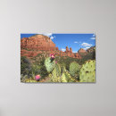 Search for sedona red rocks canvas prints United states