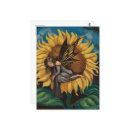 Search for fairies paintings postcards Fantasy