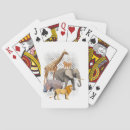Search for zoo playing cards Nature