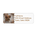 Search for dog rescue return address labels Puppies