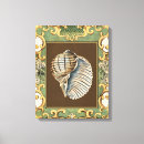 Search for seashells sea shells canvas prints Beach