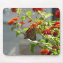 Search for monarch mouse mats Floral