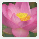 Search for joanne stickers Pink