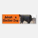 Search for adopt a dog bumper stickers Humane society