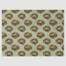 Search for bird egg Decoupage