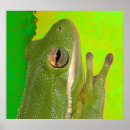 Search for funny frog art Cool