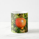 Search for pomegranate mugs Nature