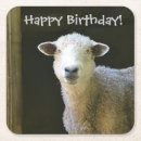 Search for sheep coasters Cute