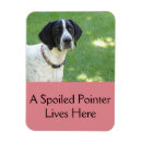 Search for pointer magnets Dog
