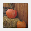 Search for december magnets November