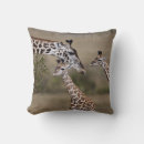 Search for environment cushions Landscape