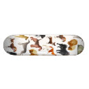 Search for dog skateboards Chihuahua
