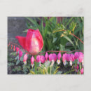 Search for bleeding postcards Flowers