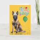 Search for belgian malinois cards Dogs