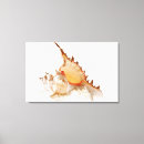 Search for against canvas prints Nature