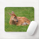 Search for fawn mouse mats Deer
