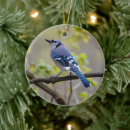 Search for blue jay christmas tree decorations Wildlife