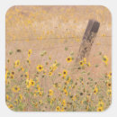 Search for barbed stickers Fence