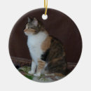 Search for calico kitten christmas tree decorations Pet