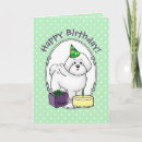 Search for bichon frise cards Cute