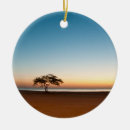 Search for sunrise christmas tree decorations Trees