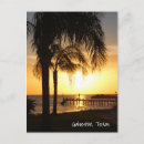 Search for palmtree postcards Sunset