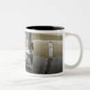 Search for airshow mugs P 51