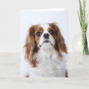 Search for nature cards Cute