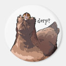 Search for derp Silly